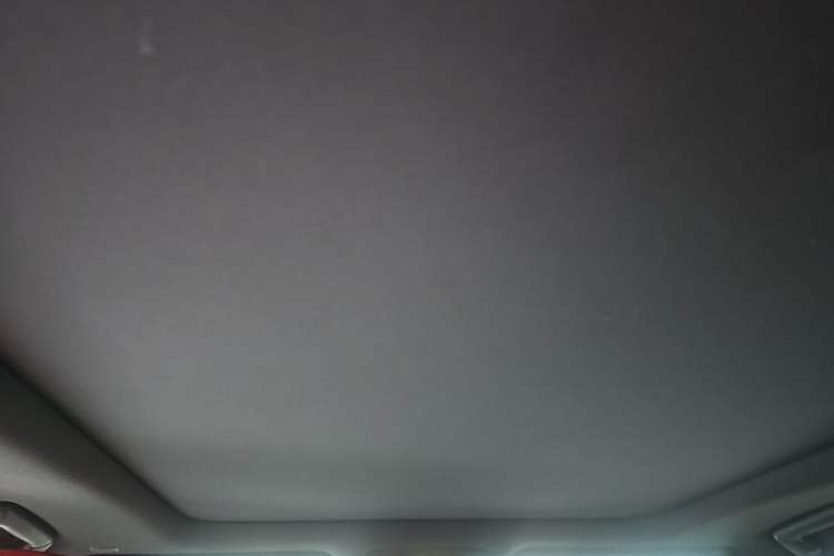 Used Lexus RX 2020 Revised Version 300 Four-Wheel Drive F SPORT Headliner
