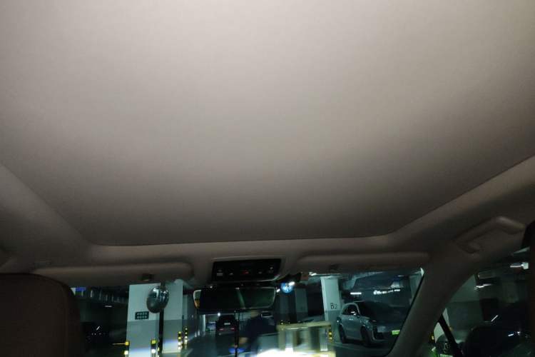 Used Lexus RX 2020 300 4x4 Elegant Edition China VI Headliner