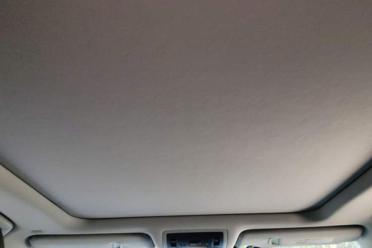 Used Lexus RX 2020 Facelifted 300 4x4 Elegant Edition Headliner