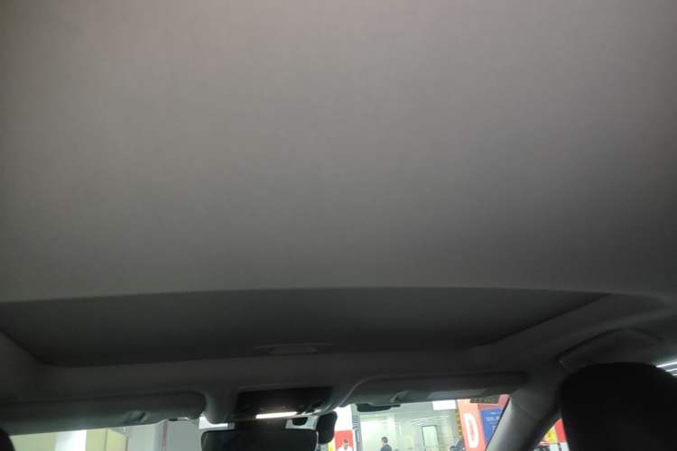 Used Lexus RX 2020 450h Four-Wheel Drive Elegant Edition China VI Standard Headliner
