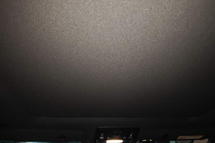 Used Lexus RX 2020 300 4x4 F SPORT China VI Headliner