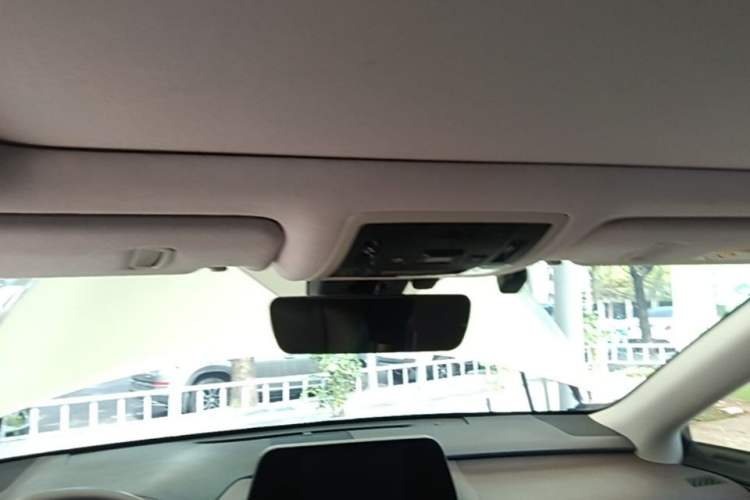 Used Lexus RX 2020 300 4x4 Elegant Edition China VI Headliner