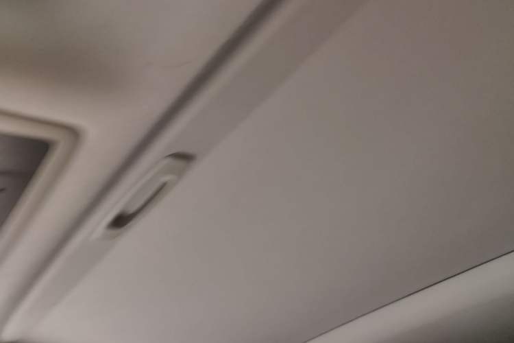 Used Lexus RX 2020 450h Four-Wheel Drive Elegant Edition China VI Standard Headliner