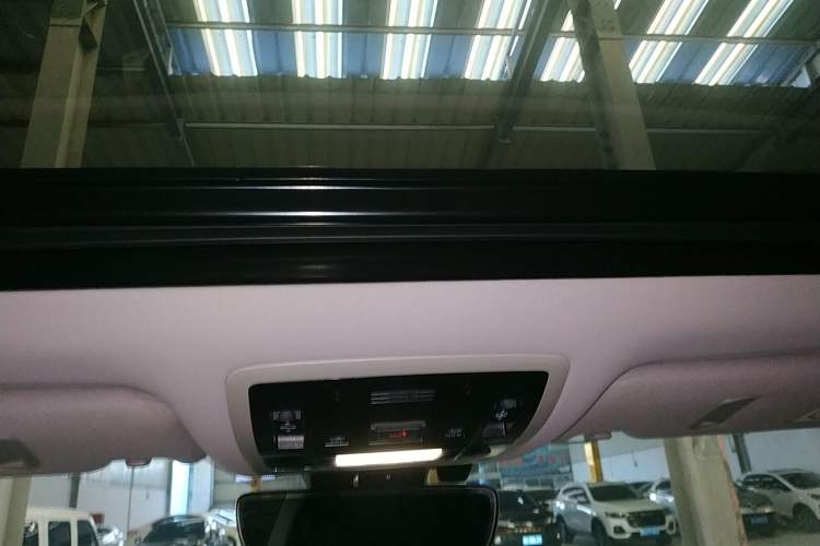 Used Lexus RX 2020 Facelifted 300 4x4 Elegant Edition Headliner