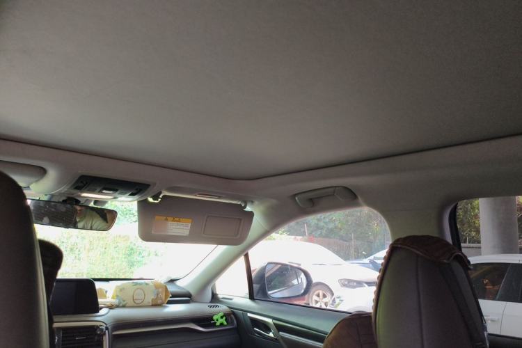 Used Lexus RX 2020 300 4x4 Elegant Edition China VI Headliner