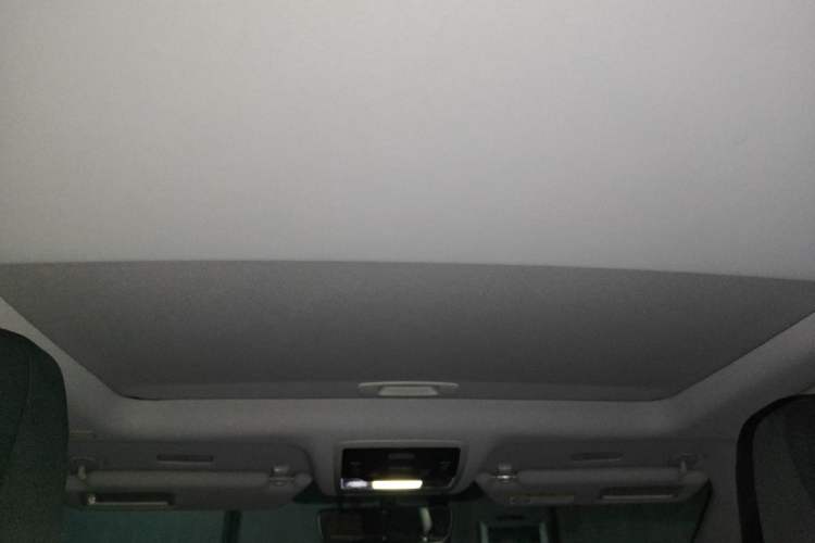 Used Lexus RX 2020 Revised Version 300 Two-Wheel Drive Elite Edition Headliner
