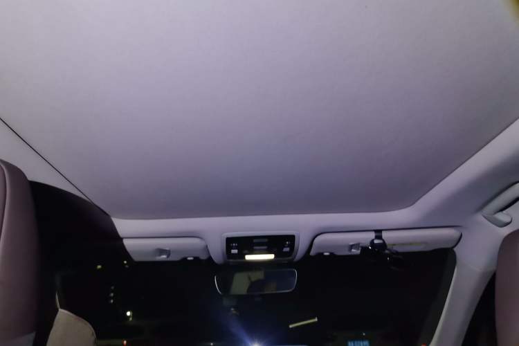 Used Lexus RX 2020 Facelifted 300 4x4 Elegant Edition Headliner