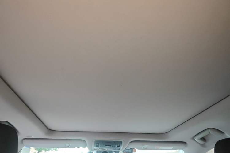 Used Lexus RX 2020 Facelifted 300 4x4 Elegant Edition Headliner