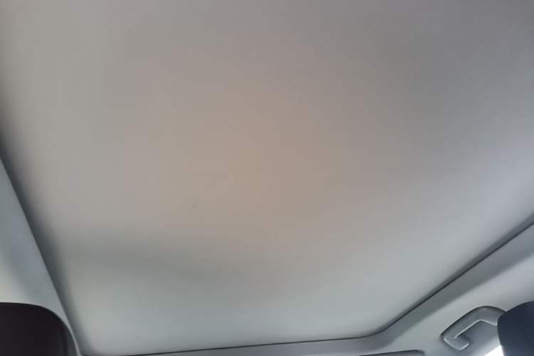 Used Lexus RX 2020 300 4x4 Elegant Edition China VI Headliner