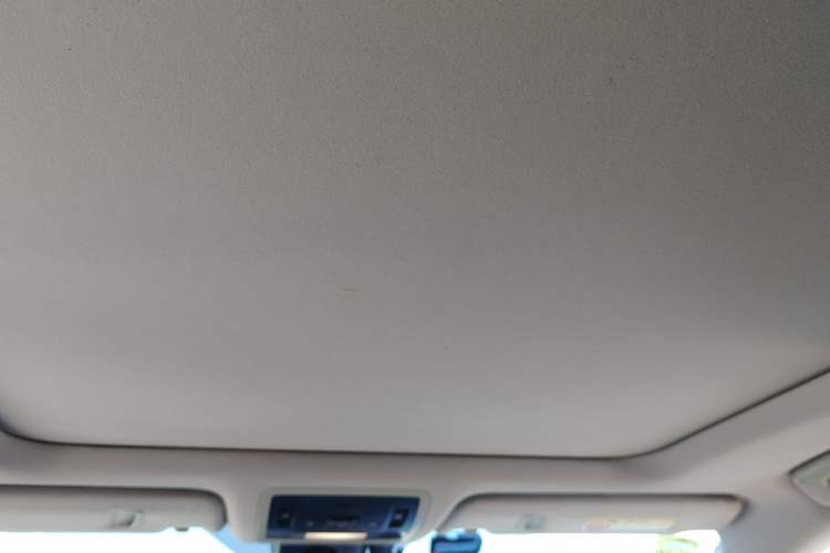 Used Lexus RX 2020 300 4x4 Elegant Edition China VI Headliner
