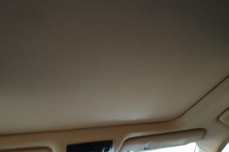Used Lexus RX 2020 Facelifted 300 4x4 Elegant Edition Headliner