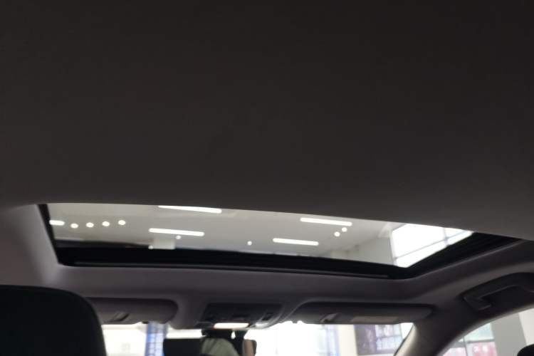 Used Lexus RX 2020 Revised Version 300 Two-Wheel Drive Elite Edition Headliner