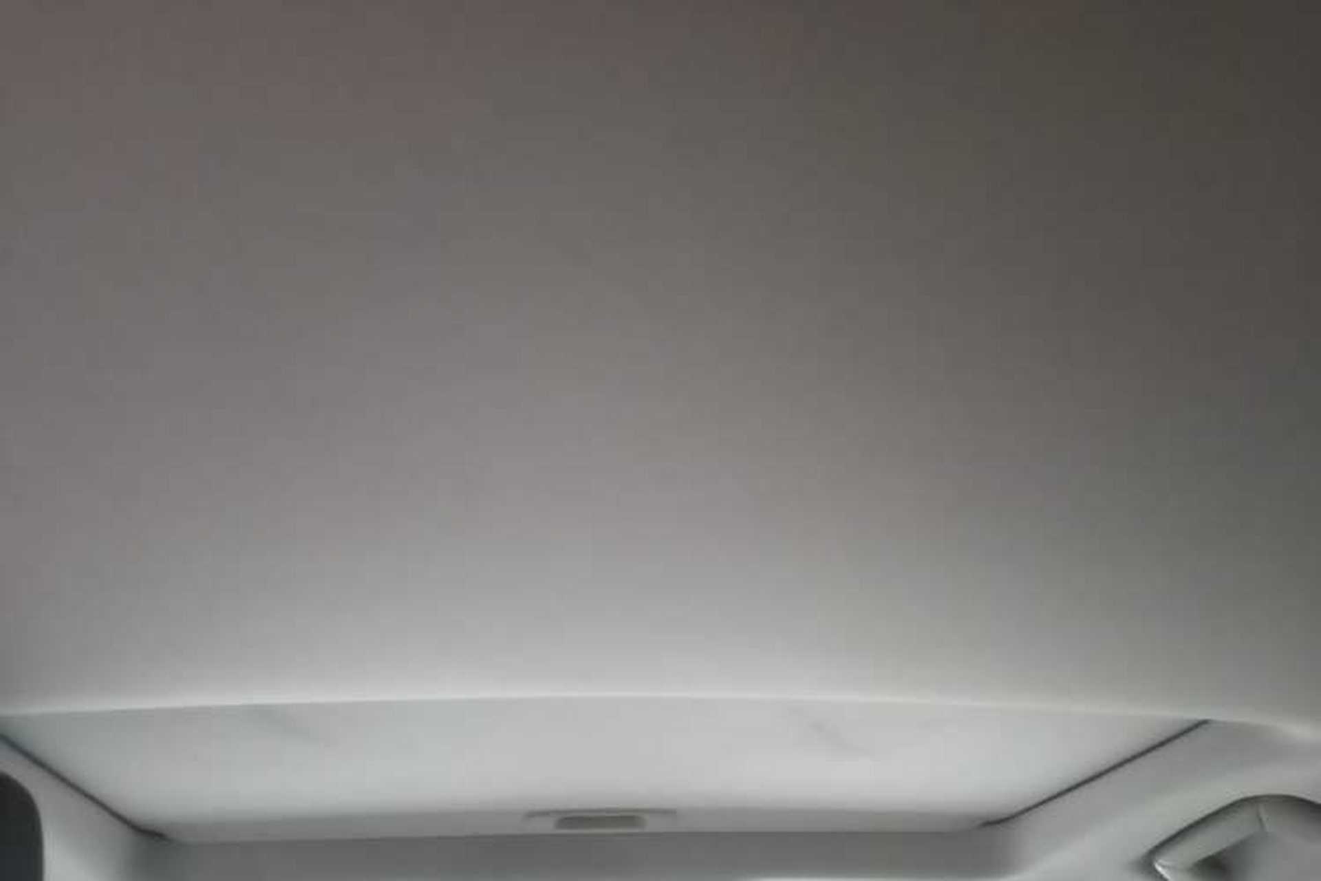 Used Lexus RX 2020 300 Two-Wheel Drive Comfort Edition China VI Standard Headliner