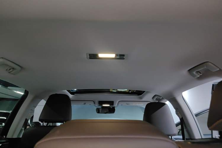 Used Lexus RX 2020 300 Two-Wheel Drive Comfort Edition China VI Standard Headliner