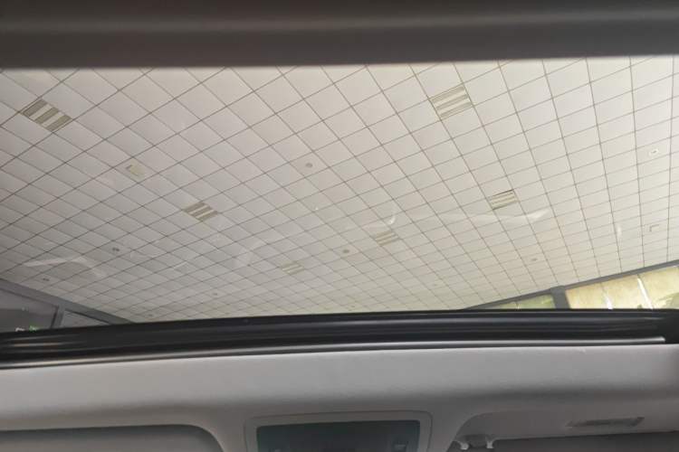 Used Lexus RX 2020 Revised Version 300 Two-Wheel Drive Comfort Edition Headliner