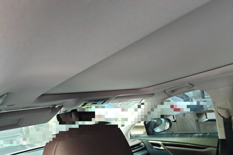 Used Lexus RX 2020 300 4x4 Elegant Edition China VI Headliner
