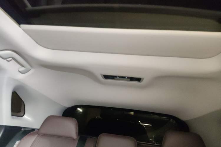 Used Lexus RX 2020 Facelifted 300 4x4 Elegant Edition Headliner
