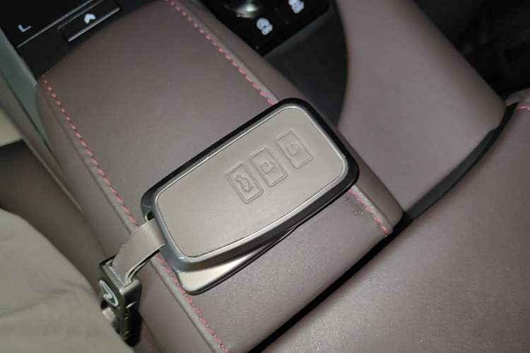 Used Lexus RX 2020 300 Two-Wheel Drive Comfort Edition China VI Standard Interior 1