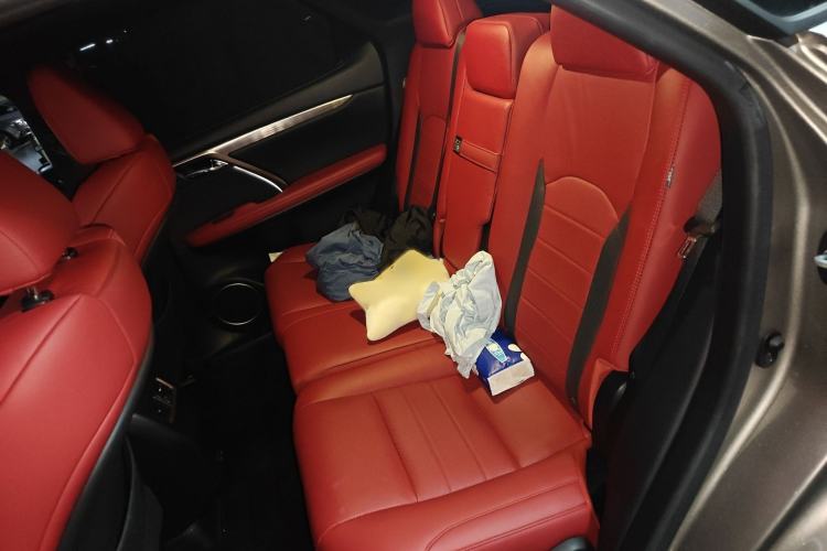 Used Lexus RX 2020 300 4x4 F SPORT China VI Interior 4