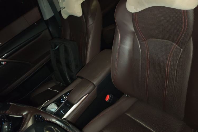 Used Lexus RX 2020 Revised Version 300 Two-Wheel Drive Comfort Edition Left Front Seat