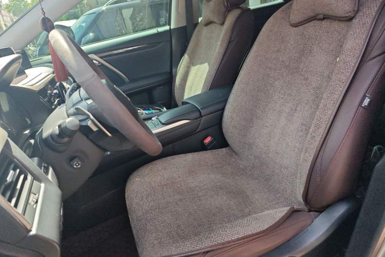 Used Lexus RX 2020 Revised Version 300 Two-Wheel Drive Elite Edition Left Front Seat