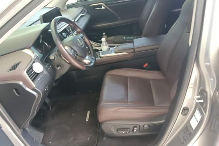 Used Lexus RX 2020 300 4x4 Elegant Edition China VI Left Front Seat