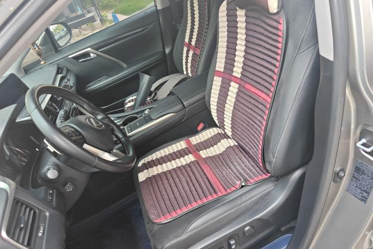 Used Lexus RX 2020 300 Two-Wheel Drive Elite Edition China VI Standard Left Front Seat