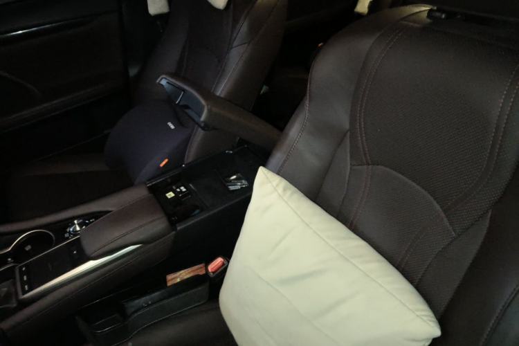 Used Lexus RX 2020 Revised Version 300 Two-Wheel Drive Comfort Edition Left Front Seat