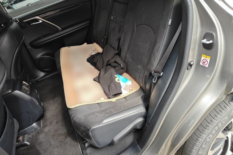 Used Lexus RX 2020 300 Two-Wheel Drive Elite Edition China VI Standard Left Rear Seat