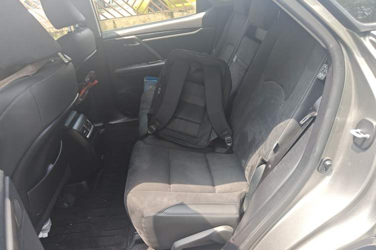 Used Lexus RX 2020 Revised Version 300 Two-Wheel Drive Elite Edition Left Rear Seat