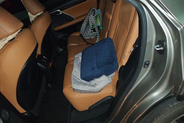 Used Lexus RX 2020 Facelifted 300 4x4 Elegant Edition Left Rear Seat