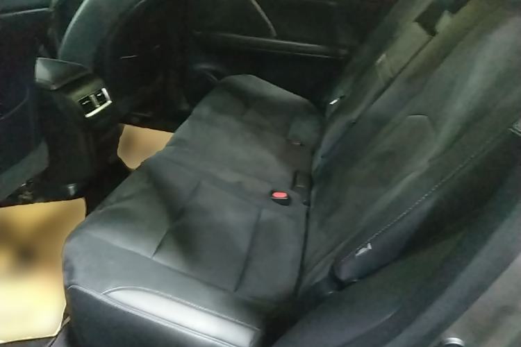 Used Lexus RX 2020 Revised Version 300 Two-Wheel Drive Elite Edition Left Rear Seat