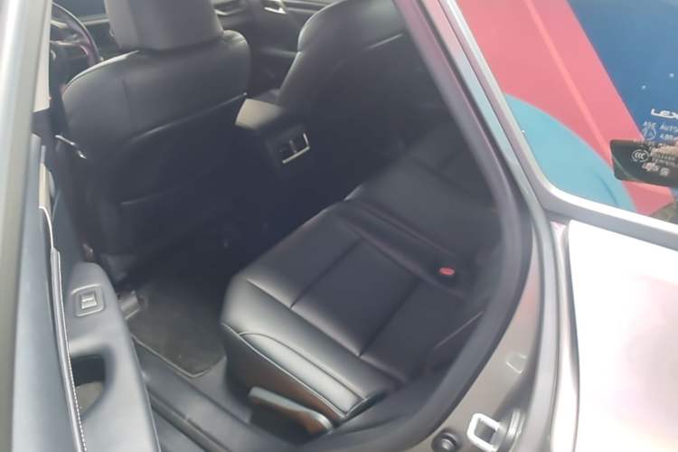 Used Lexus RX 2020 Revised Version 300 Two-Wheel Drive Elite Edition Left Rear Seat