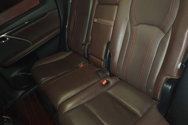Used Lexus RX 2020 Revised Version 300 Two-Wheel Drive Comfort Edition Left Rear Seat