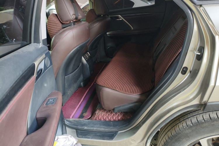 Used Lexus RX 2020 300 4x4 Elegant Edition China VI Left Rear Seat