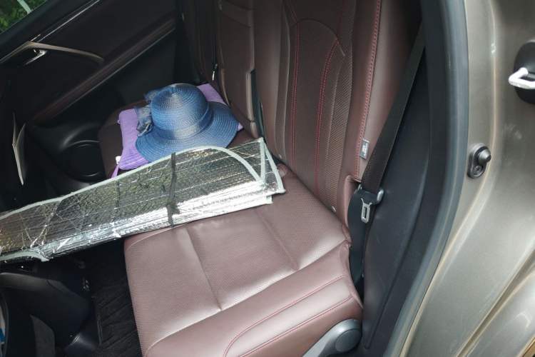 Used Lexus RX 2020 Facelifted 300 4x4 Elegant Edition Left Rear Seat