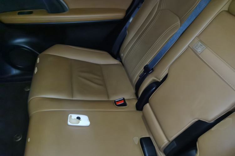 Used Lexus RX 2020 Revised Version 300 Two-Wheel Drive Comfort Edition Left Rear Seat