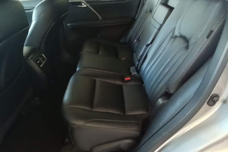 Used Lexus RX 2020 Revised Version 300 Two-Wheel Drive Elite Edition Left Rear Seat