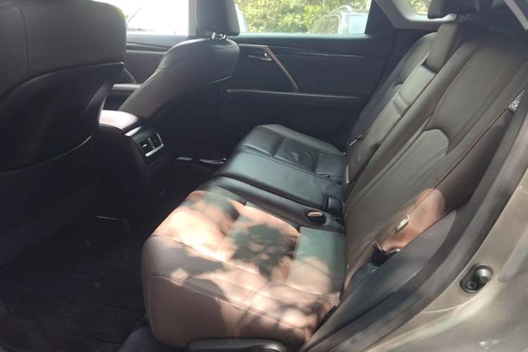 Used Lexus RX 2020 Revised Version 300 Two-Wheel Drive Comfort Edition Left Rear Seat