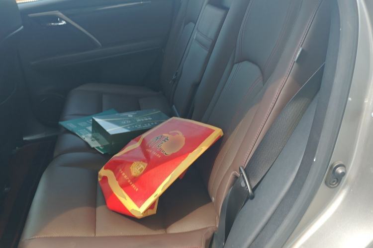 Used Lexus RX 2020 300 4x4 Elegant Edition China VI Left Rear Seat