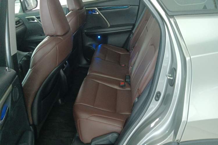 Used Lexus RX 2020 Revised Version 300 Two-Wheel Drive Elite Edition Left Rear Seat