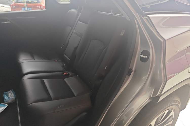Used Lexus RX 2020 Revised Version 300 Two-Wheel Drive Comfort Edition Left Rear Seat
