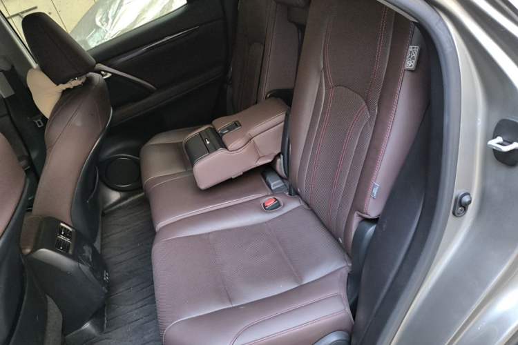 Used Lexus RX 2020 Revised Version 300 Two-Wheel Drive Comfort Edition Left Rear Seat