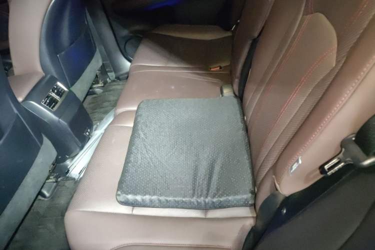 Used Lexus RX 2020 Facelifted 300 4x4 Elegant Edition Left Rear Seat