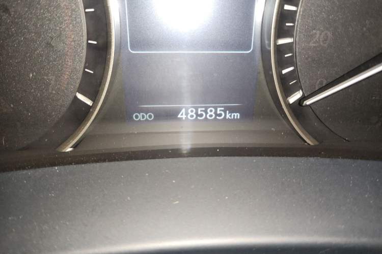 Used Lexus RX 2020 300 Two-Wheel Drive Elite Edition China VI Standard Odometer Close Up
