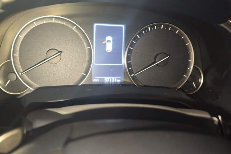 Used Lexus RX 2020 300 Two-Wheel Drive Elite Edition China VI Standard Odometer Close Up