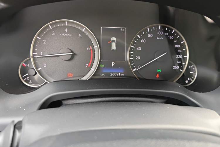 Used Lexus RX 2020 300 4x4 Luxury Edition China V Standard Odometer Close Up