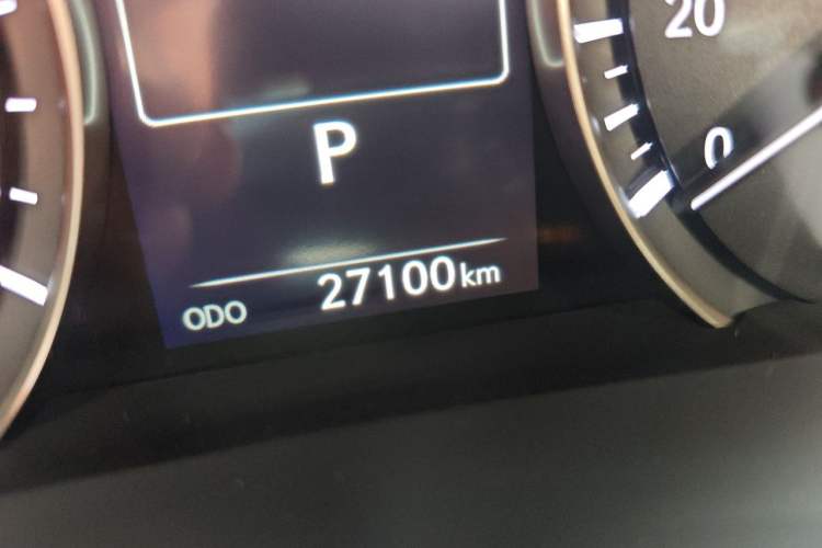 Used Lexus RX 2020 Revised Version 300 Two-Wheel Drive Elite Edition Odometer Close Up