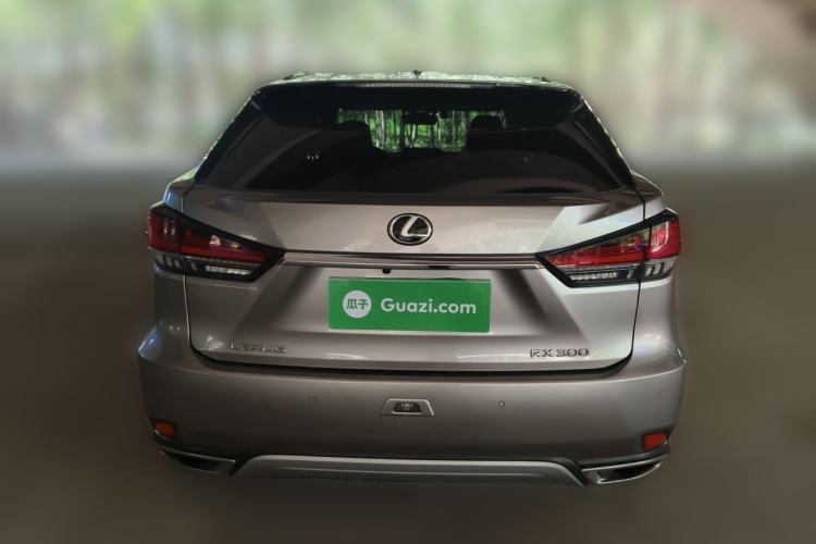 Used Lexus RX 2020 Facelifted 300 4x4 Elegant Edition Rear