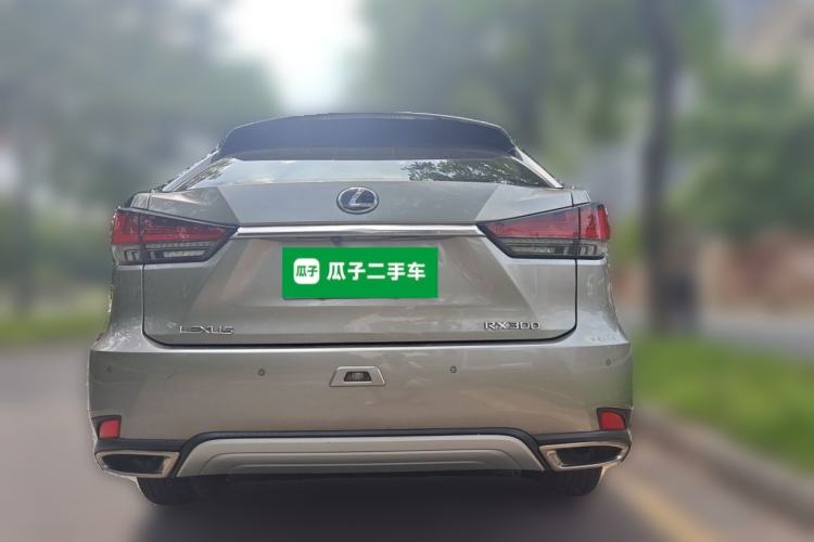 Used Lexus RX 2020 Revised Version 300 Two-Wheel Drive Elite Edition Rear
